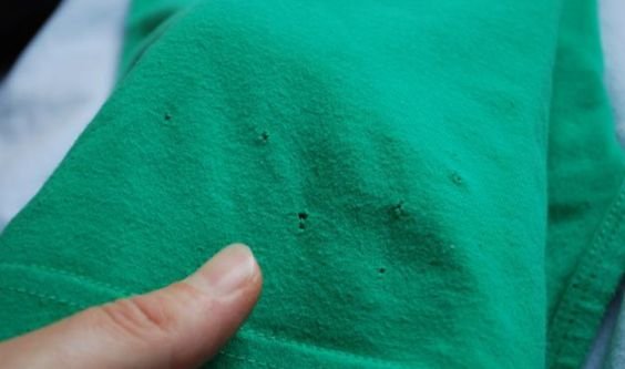This is why your t-shirts are always getting these tiny little holes at the bottom!