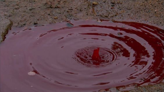 RED RAIN: In India, it appears to be raining blood and scientists scramble to figure out why.