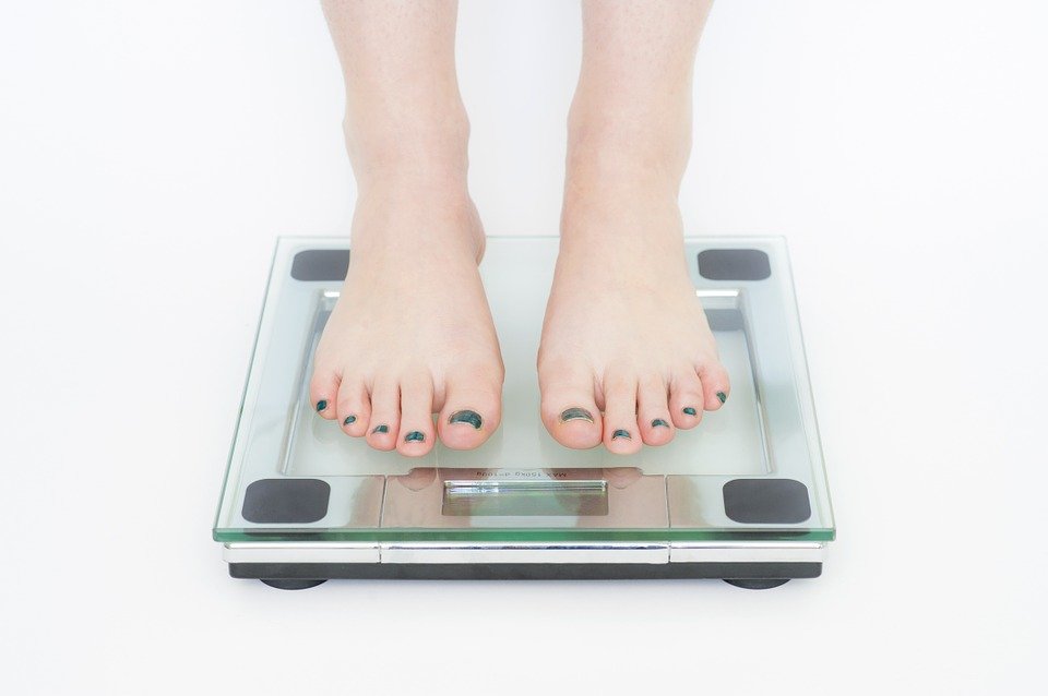 weight pixabayì ëí ì´ë¯¸ì§ ê²ìê²°ê³¼