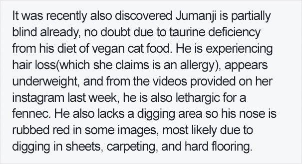 fennec-fox-vegan-diet-animal-abuse-jumanji-sonia-sae-42