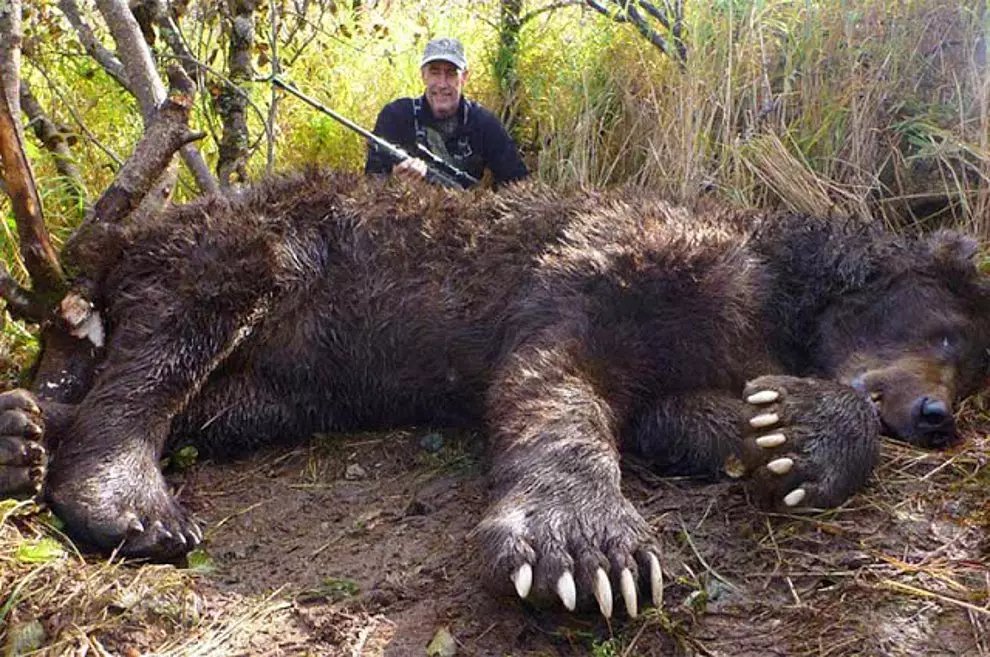 27 Casos De Animales Que Crecieron Hasta Lograr Tamaños Monstruosos ...