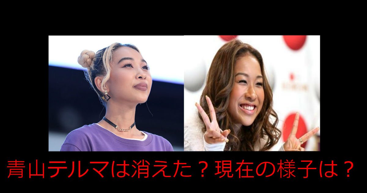 aaa.jpg?resize=300,169 - 青山テルマ、交通事故の後遺症で門外不出？近況は？