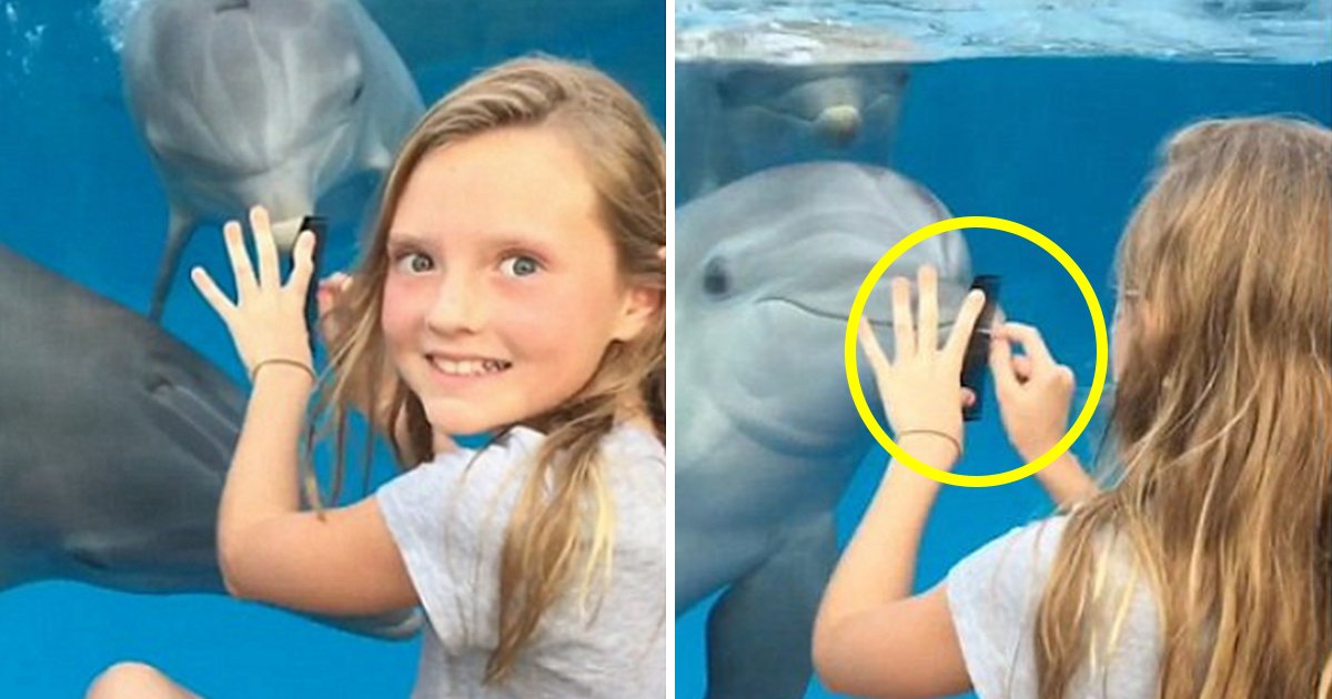 article thumbnail 51.jpg?resize=1200,630 - Esta menina chama os golfinhos com apenas um pente! (vídeo)