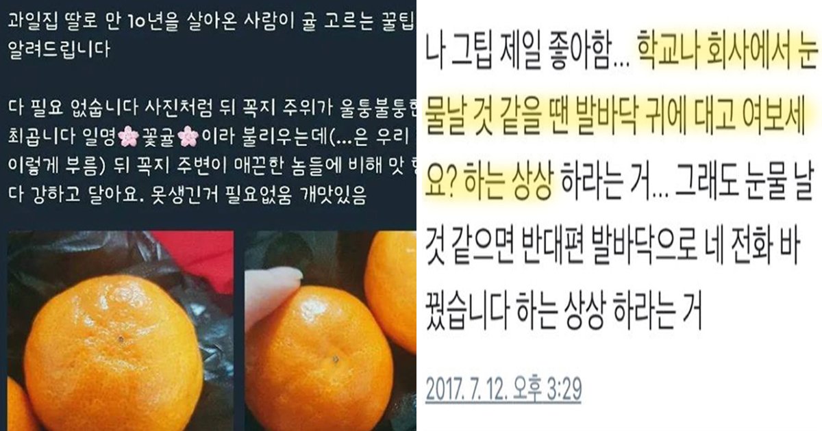 article thumbnail 8.jpg?resize=412,275 - 알아두면 두고두고 쓸모있는 트위터 ‘핵꿀팁’ 14가지