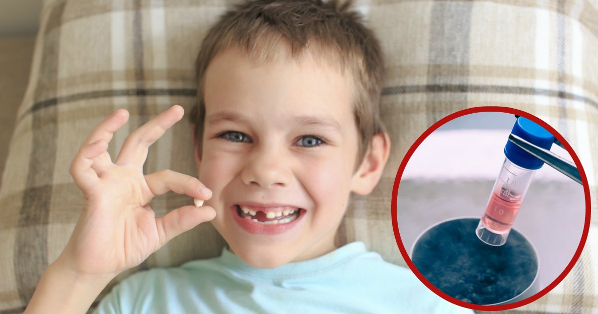 babyteeth.jpg?resize=1200,630 - Conserva los dientes de leche de tus hijos, ¡Pueden salvarles la vida algún día!