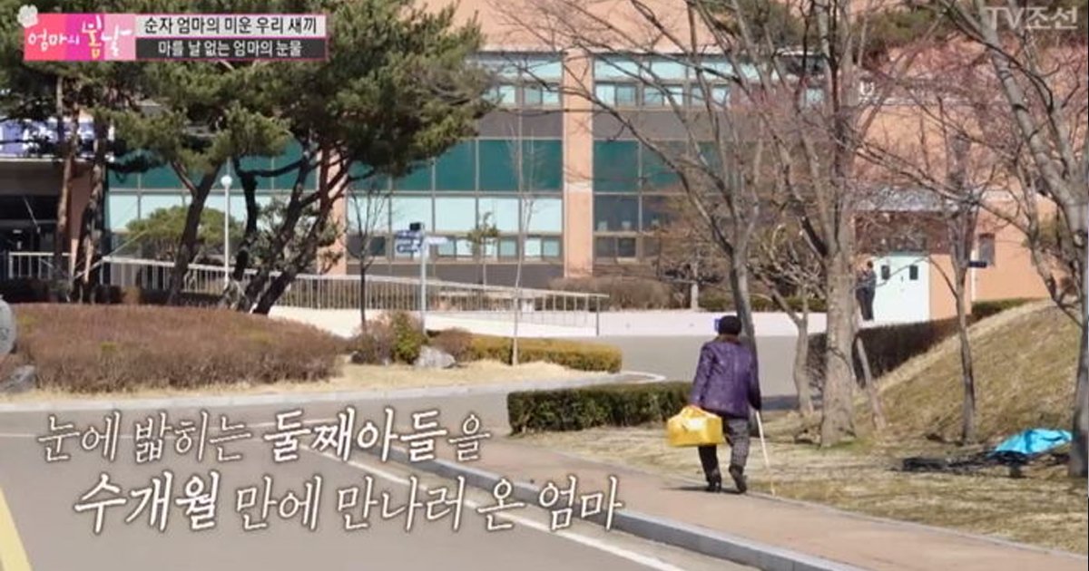 ec9784eba788.png?resize=1200,630 - 합의금 육백만원이 없어 교도소 간 아들 면회하고 서러워 ‘통곡’하는 노모