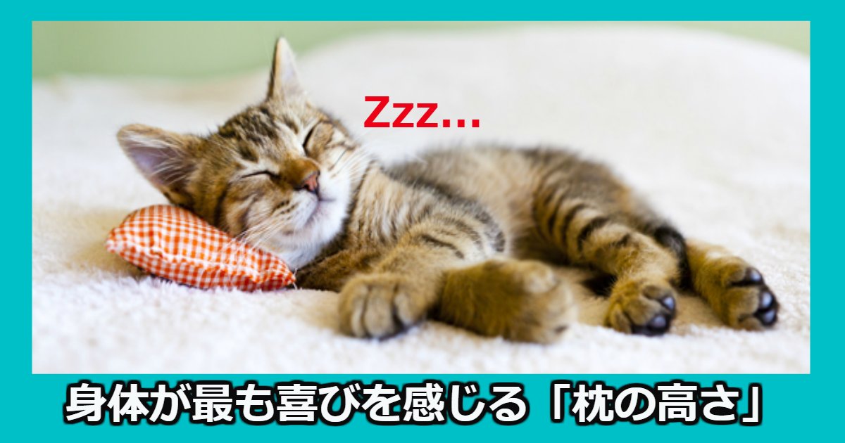 makura.png?resize=412,275 - 睡眠時、身体が最も喜びを感じる「枕の高さ」