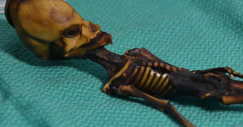 s3ljpqjbafomjvkmqcc7.jpg?resize=412,232 - O segredo do esqueleto alienígena encontrado no Chile