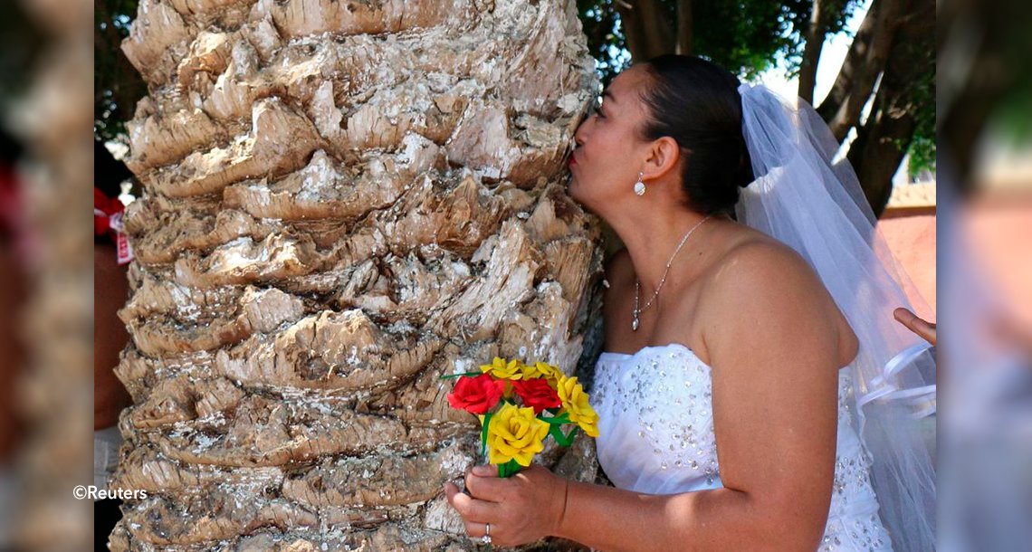 template covercas.png?resize=412,232 - Estas personas deciden "contraer matrimonio" con árboles para ayudar al planeta