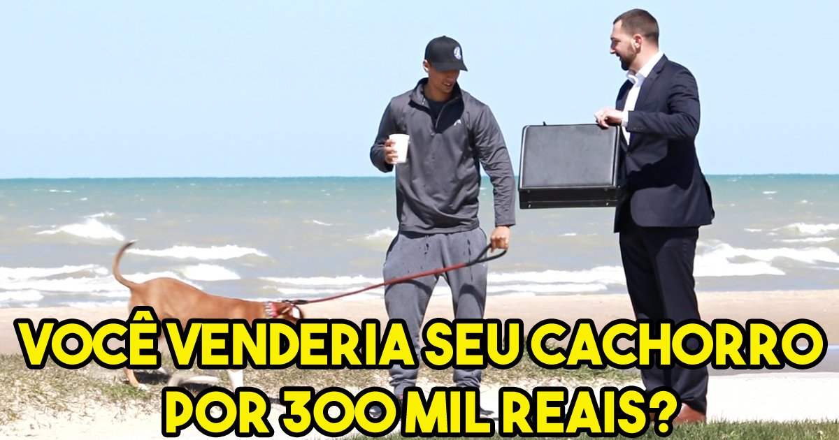 thumbnail5gaq4ttek.png?resize=412,275 - Experimento social: Você venderia seu cachorro por 300 mil reais?