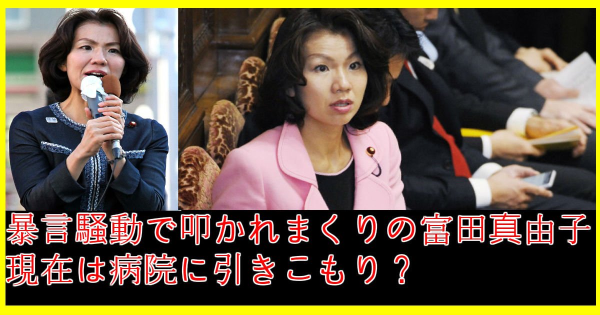 tomita.jpg?resize=412,232 - 富田真由子の家族、暴言騒動、現在まで総まとめ