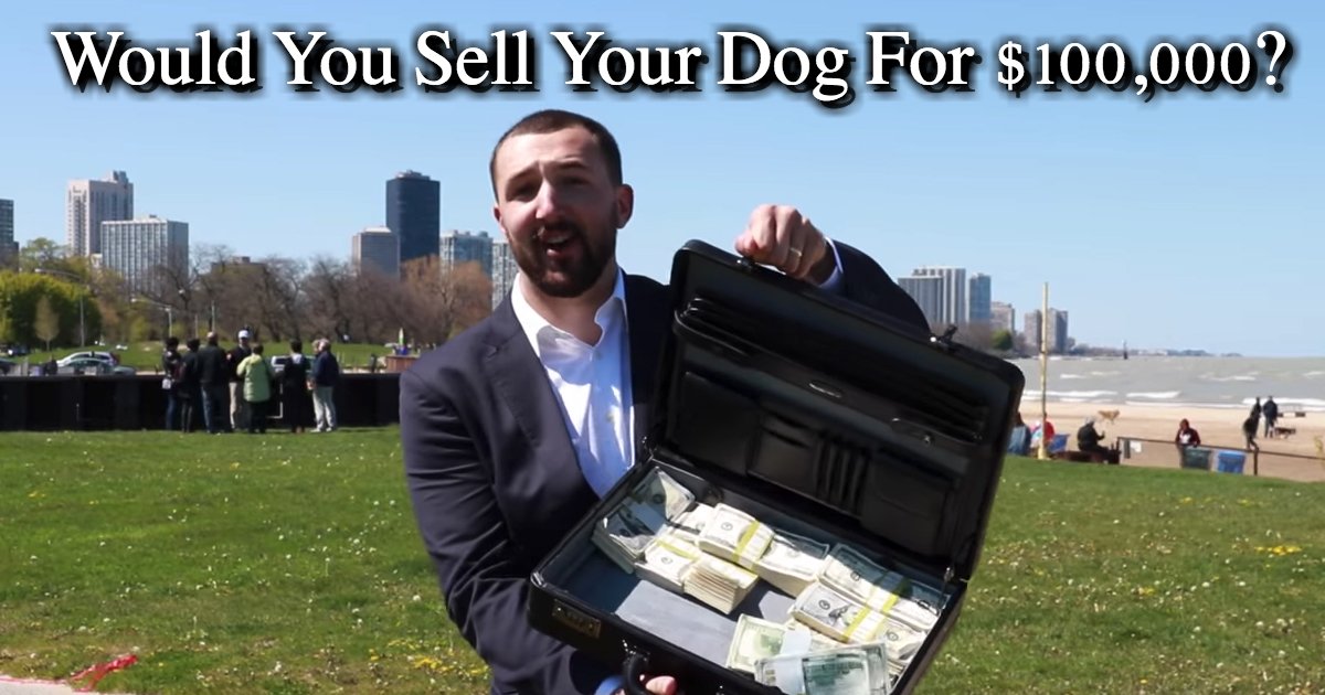 untitled 1 35.jpg?resize=1200,630 - Social Experiment: Would You Sell Your Dog For $100,000?