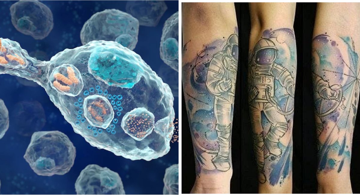 untitled design 22 1.png?resize=1200,630 - Suas células estão comendo as suas tatuagens!