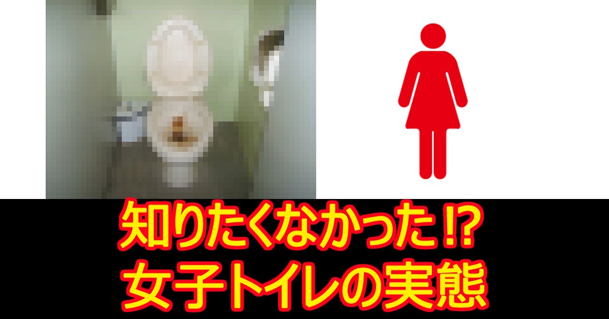 zyoshitoire.jpg?resize=1200,630 - 【動画あり】 女子トイレの衝撃実態ランキング10