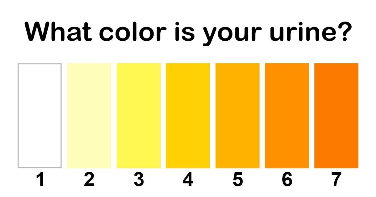 6ec8db8eb84ac 3.jpg?resize=1200,630 - The Color Of Your Urine Tells A Lot About Your Health