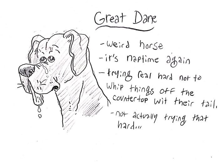 Dog-Breeds-Traits-Guide-Cartoons-Grace-Gogarty