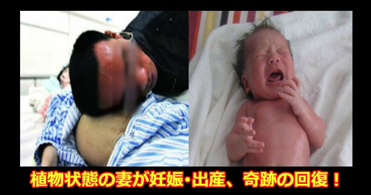 akachan.png?resize=1200,630 - 植物状態に陥った妻が妊娠･出産した後に意識を取り戻した実話が泣ける