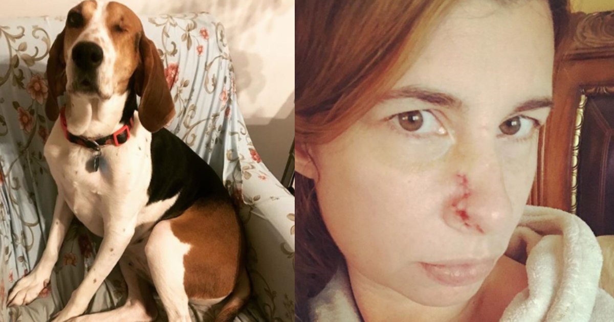 dog keeps sniffing.jpg?resize=1200,630 - Sa chienne renifle son visage avec insistance : Elle découvre qu'elle a un cancer