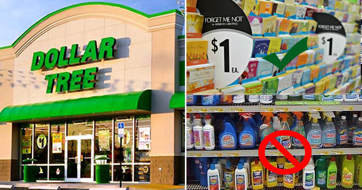 dollartree.jpg?resize=1200,630 - The Best Things That You Can Get For Your Money At DollarTree