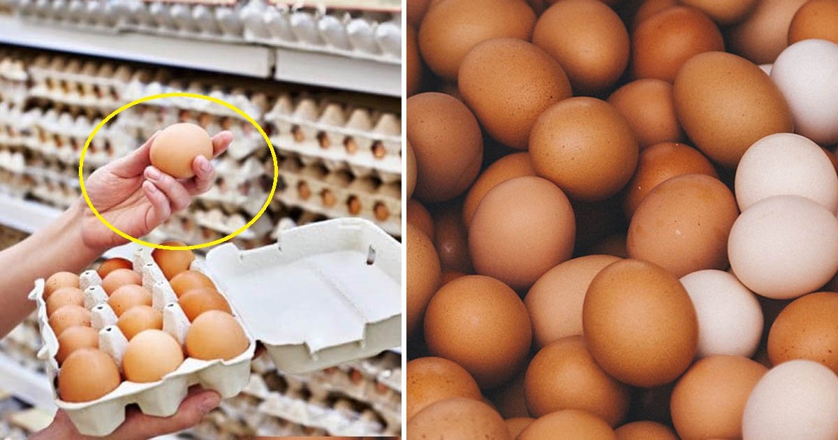 eggs 1.jpg?resize=412,232 - Une contamination à la salmonelle provoque le rappel de 200 millions d'œufs aux États-Unis