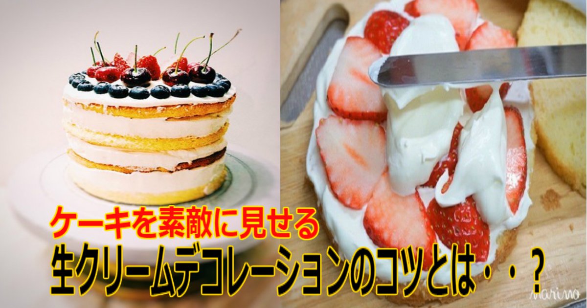市販のスポンジも可 ケーキを素敵に見せる 生クリームデコレーション のコツとは Hachibachi
