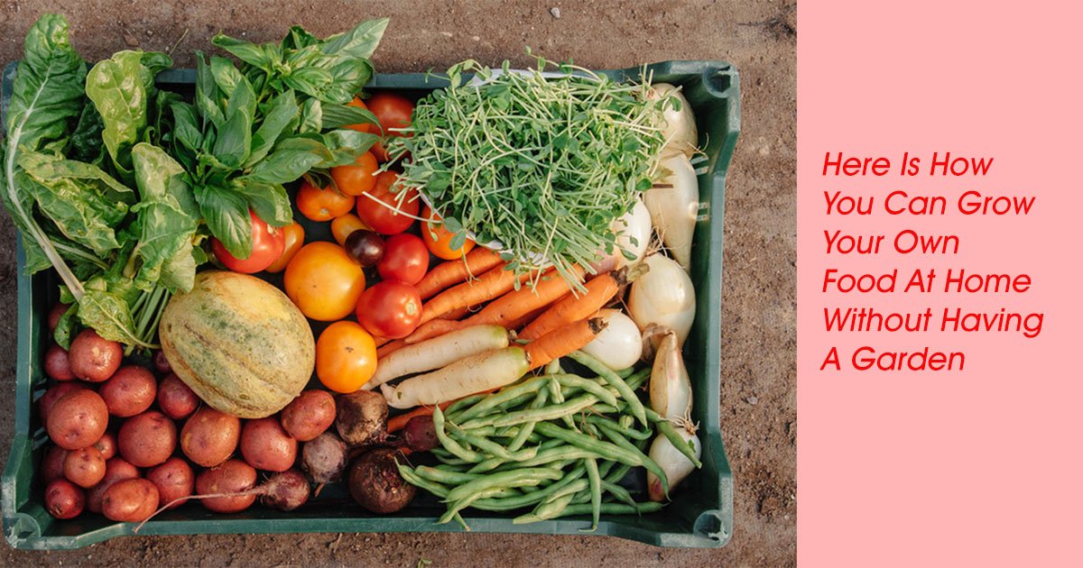 foods.jpg?resize=412,232 - Voici comment vous pouvez cultiver votre propre nourriture à la maison sans avoir un jardin