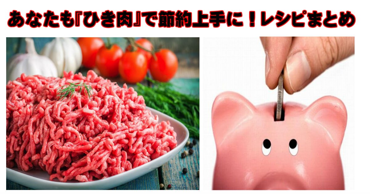 hiki.jpg?resize=412,232 - あなたも節約上手に！ひき肉料理レシピをちょっぴりご紹介！