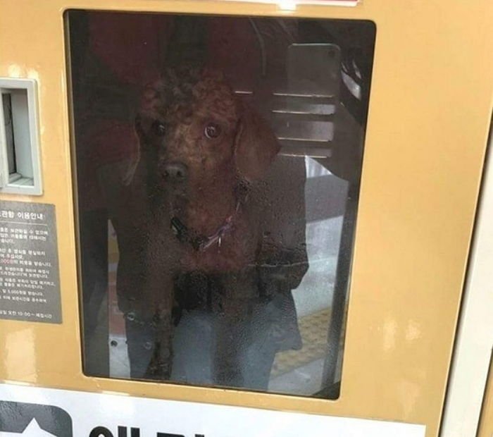 ì¸ì¬ì´í¸