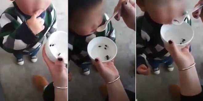 renacuajos 660x330.png?resize=1200,630 - Una madre china causó polémica al alimentar a su hijo con renacuajos vivos, el video se ha hecho viral