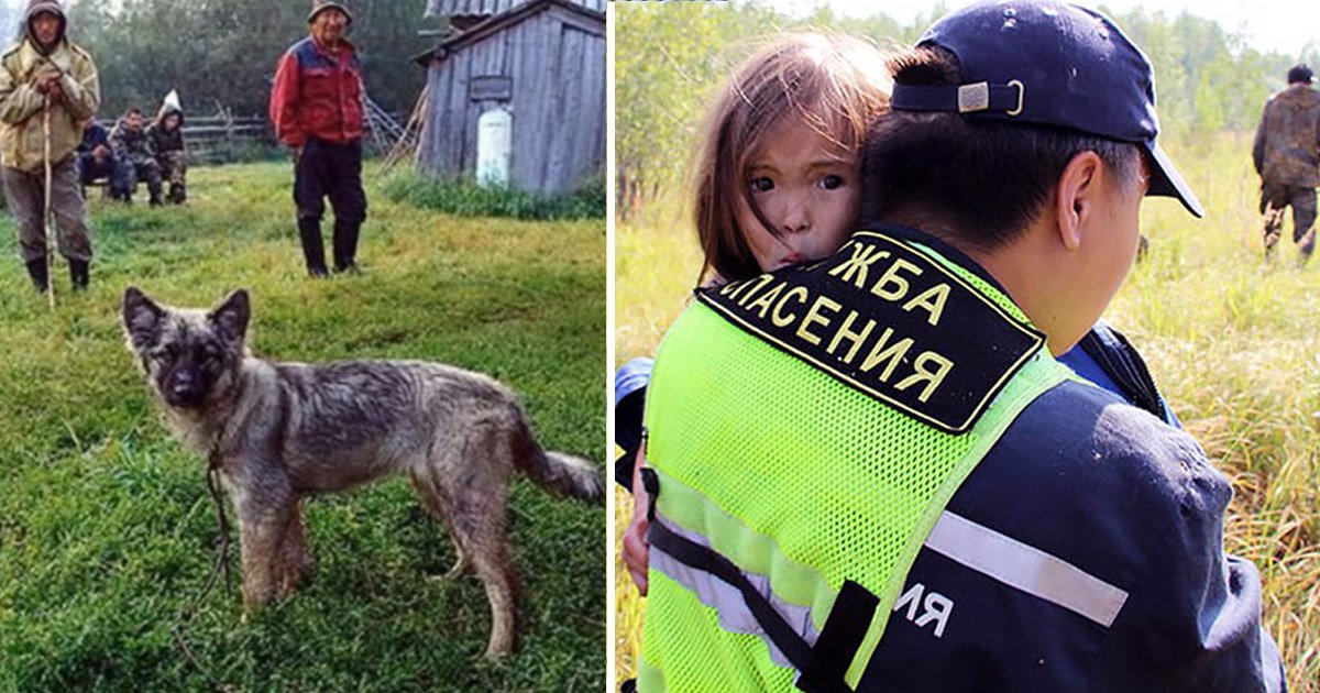 savegirl.jpg?resize=1200,630 - Un chiot aide les sauveteurs à retrouver une fillette de 3 ans perdue dans la nature sibérienne pendant 12 jours
