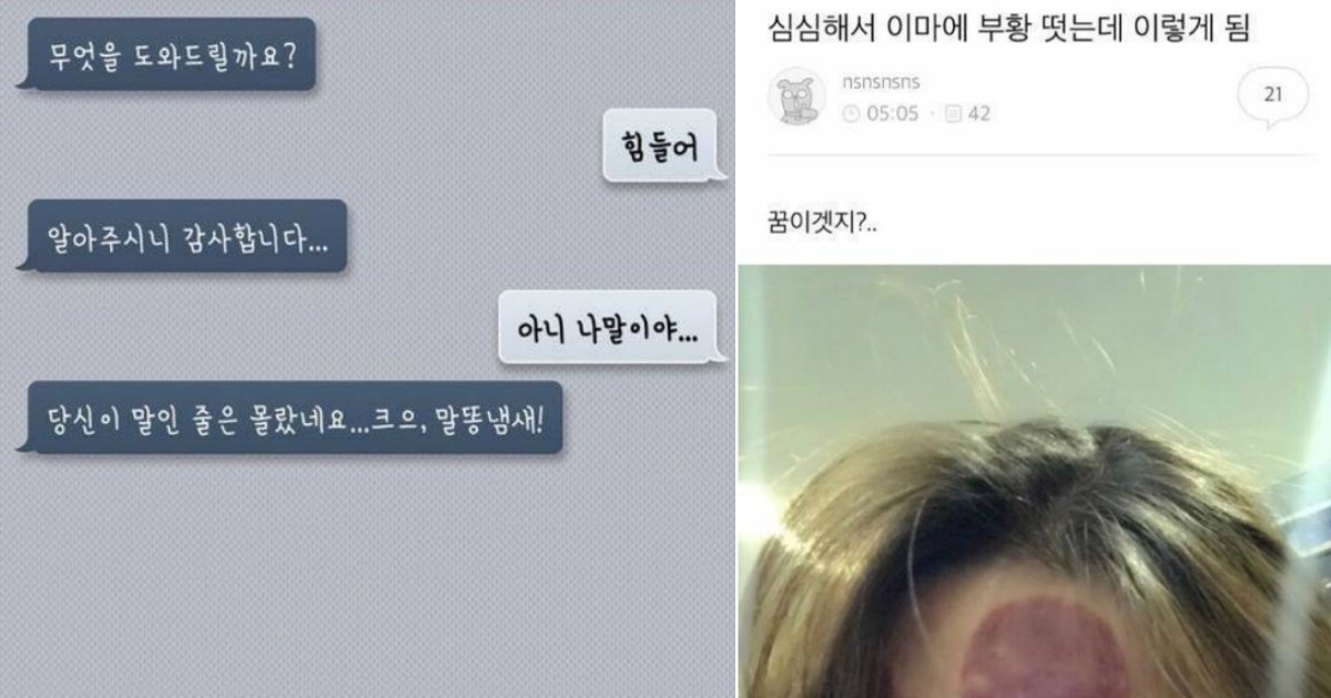 ssd.jpg?resize=412,275 - '빵빵' 터지는 익명게시판 유저들의 입담 모음 32