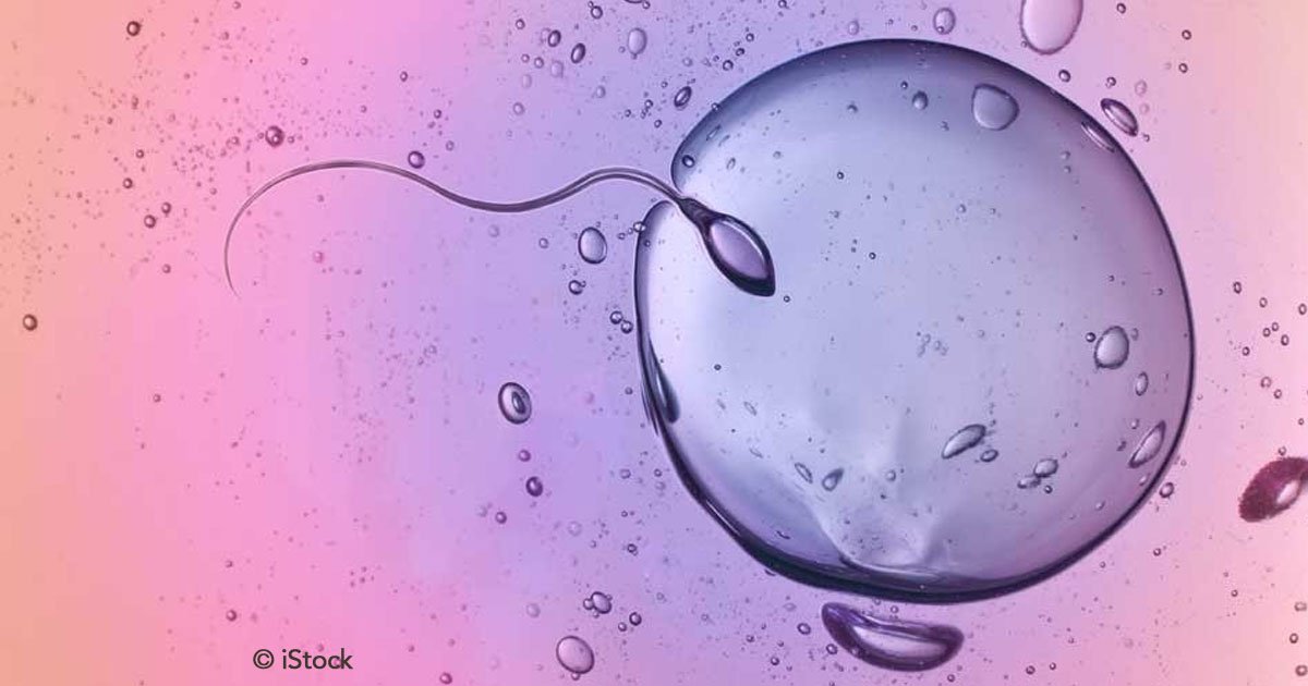 untitled 1 167.jpg?resize=1200,630 - Descobriu-se que são os óvulos quem escolhem o espermatozóide que os fertilizará, e não o contrário!