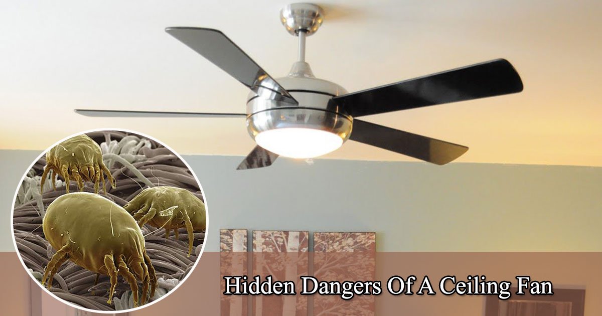 untitled 1 22.jpg?resize=412,232 - Hidden Safety Concerns Of A Ceiling Fan: Things You Need To Know About Your Ceiling Fan