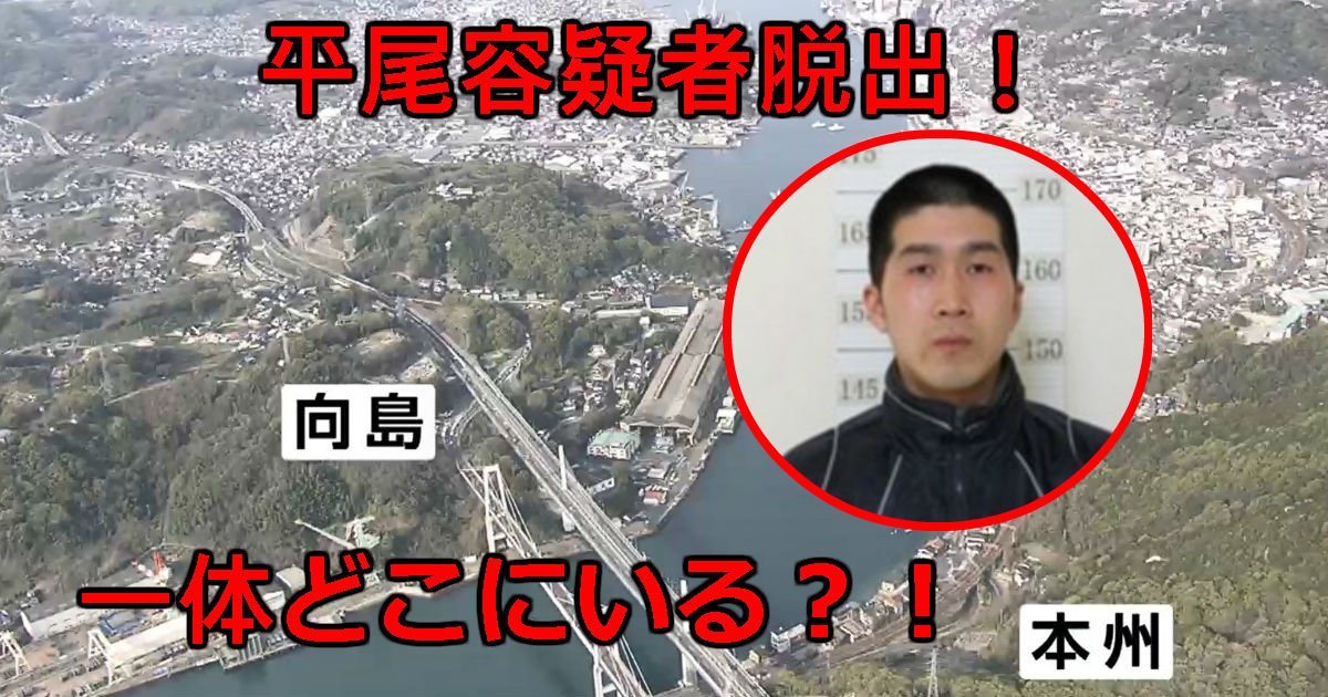 x.jpg?resize=412,275 - 「トコトン逃げるタイプ」平尾容疑者が捕まらないのはなぜか？