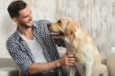 犬の記憶力