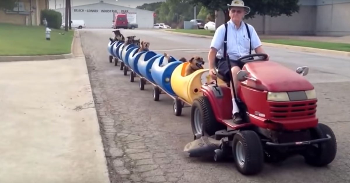 2 77.jpg?resize=1200,630 - Man Drives Train Around Streets With Rescued Pups In The Passenger Seats