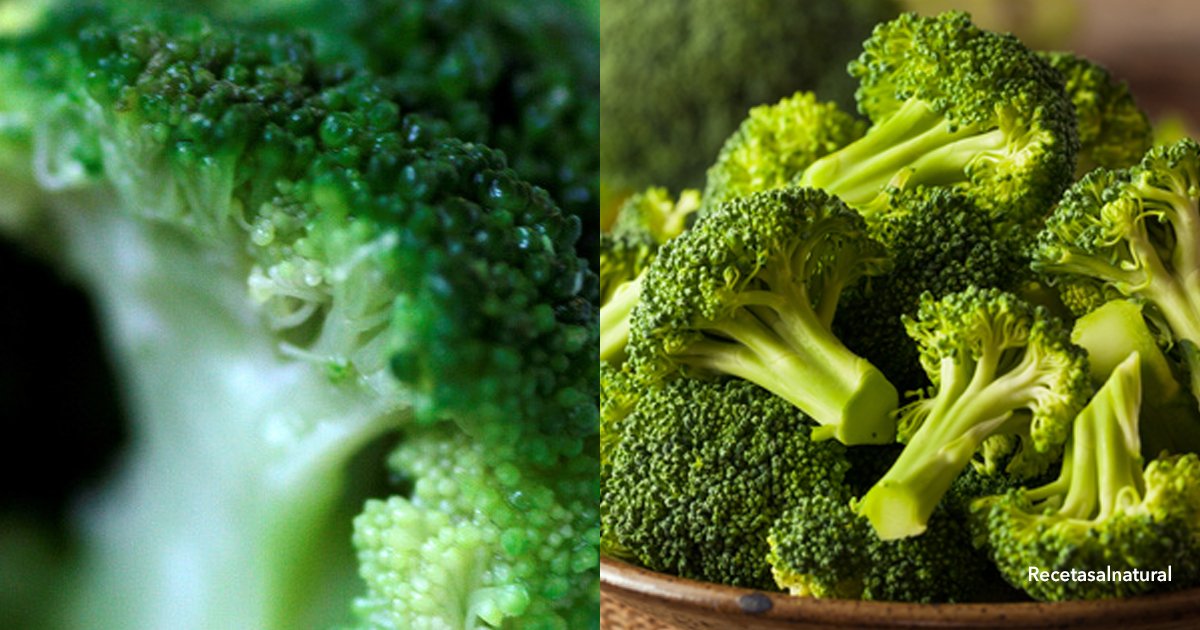2 cov 1.jpg?resize=1200,630 - Científicos confirman que el brócoli es una verdura "salvavidas"