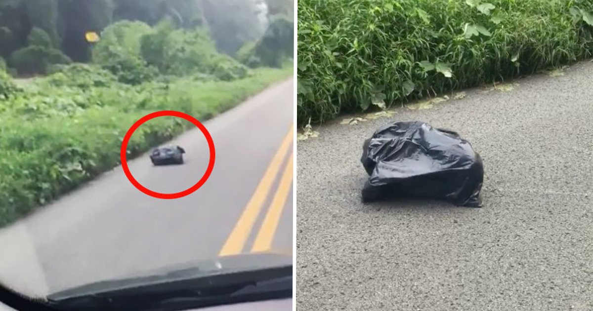 5ec8db8eb84ac ec9db8ec8aa4ed8ab8eba6bc.jpg?resize=1200,630 - Woman Notices a Trash Bag on the Side of the Road. Then Realizes—It’s Moving