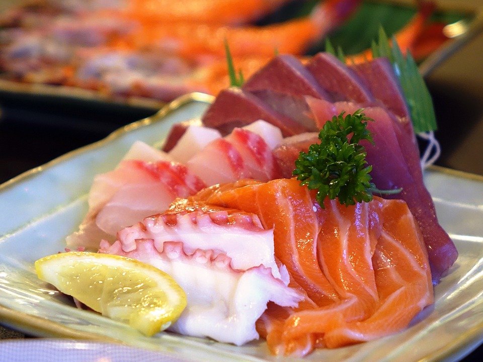 sashimi pixabay - a imagem da imagem