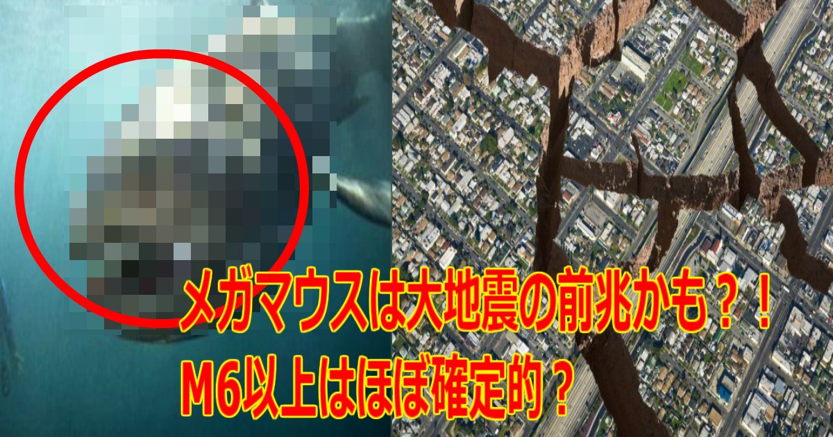 a 15.jpg?resize=412,232 - 7月下旬までに【M6以上】は確定的か、メガマウスは大地震の前兆かも？！