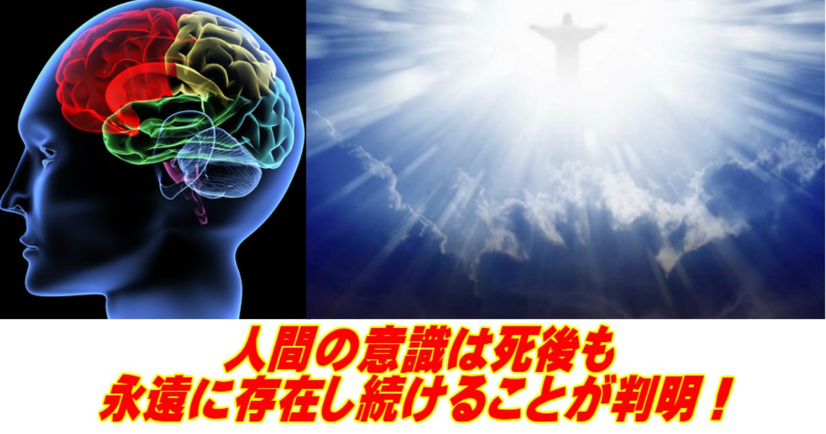 aa 18.jpg?resize=412,232 - 【科学】人間の意識は死後も永遠に存在し続けることが判明！