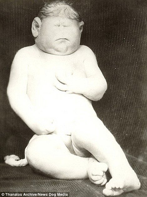 Handwritten on the back says it was born in Effingham, Illinois, 1939, complete with a tail, no eyes, no nostrils and enlarged ears, weighting 30 lbs at birth