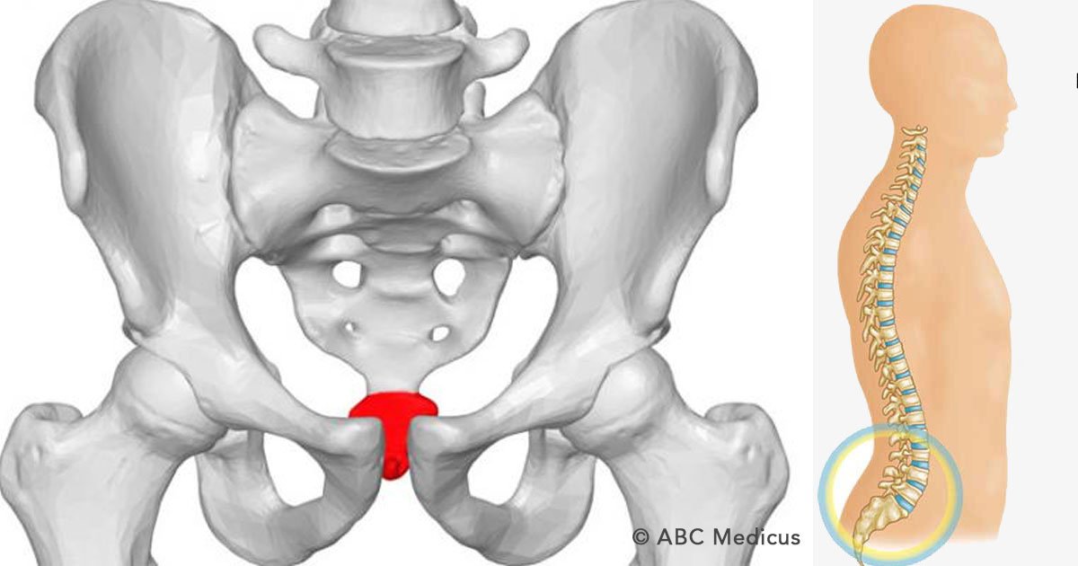 cover 20.jpg?resize=412,275 - Por qué duele tanto el coxis y como evitar molestias en caso de lesiones