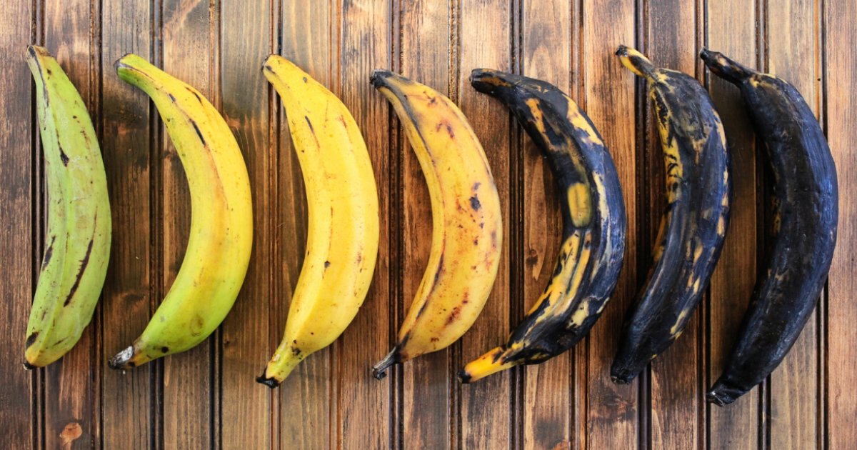 different bananas.jpg?resize=1200,630 - Préférez-vous les bananes vertes, jaunes ou brunes ? Voici comment elles affectent votre santé