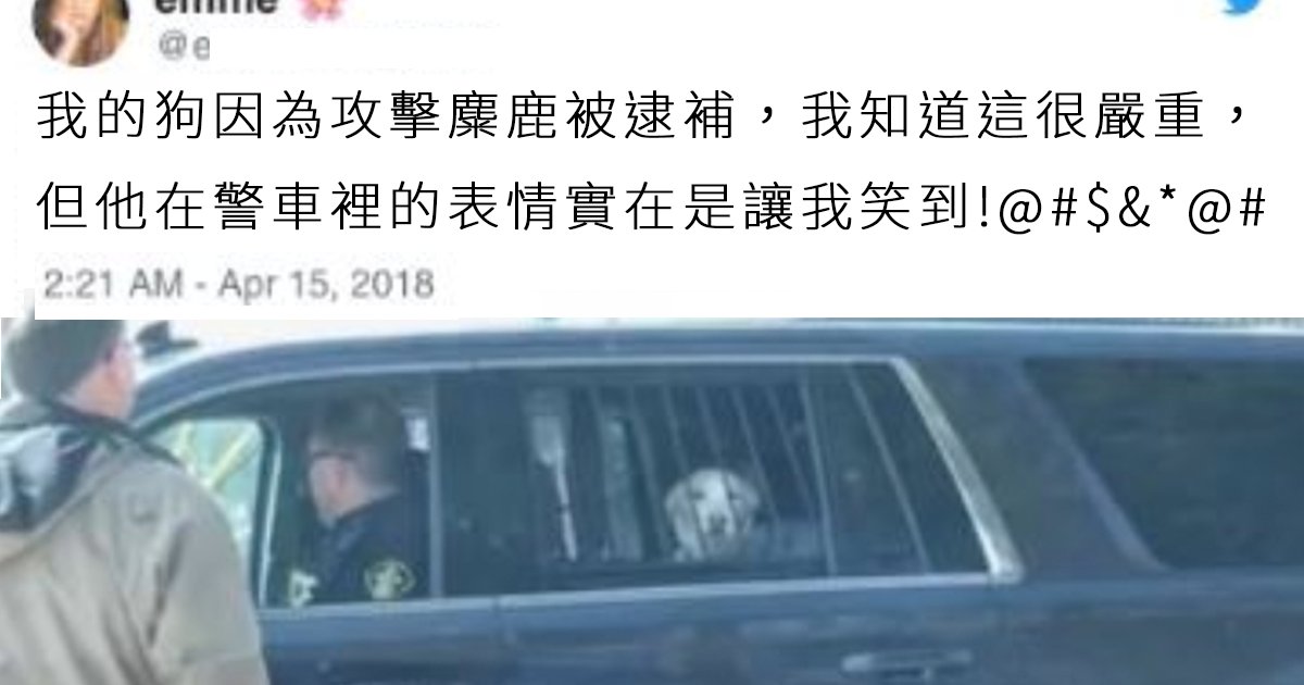 e69caae591bde5908d 1 19.png?resize=412,275 - 狗狗攻擊鹿被捕在警車上一臉茫然：「阿你是要不要保我出來？」笑壞主人