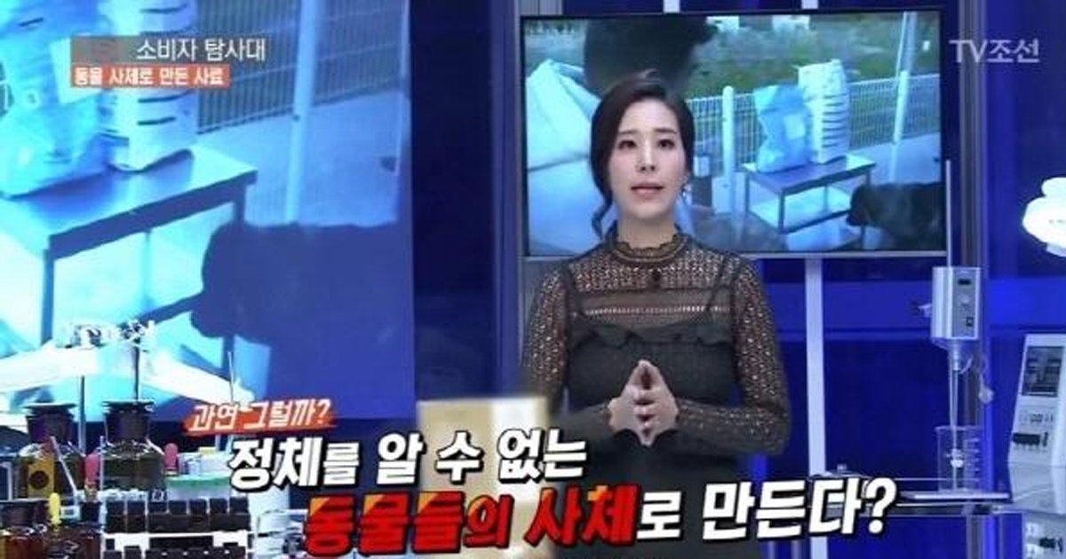 eab09cec82aceba38c.jpg?fit=1024%2C538&ssl=1&strip=all - 동물 '사체' 까지 넣은 '개사료' 공장의 충격적 진실