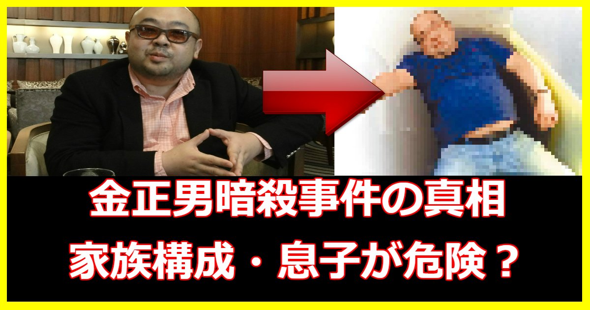 kim.png?resize=412,232 - 金正男について総まとめ！家族は？暗殺？