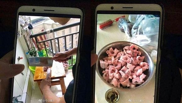 蛇 料理