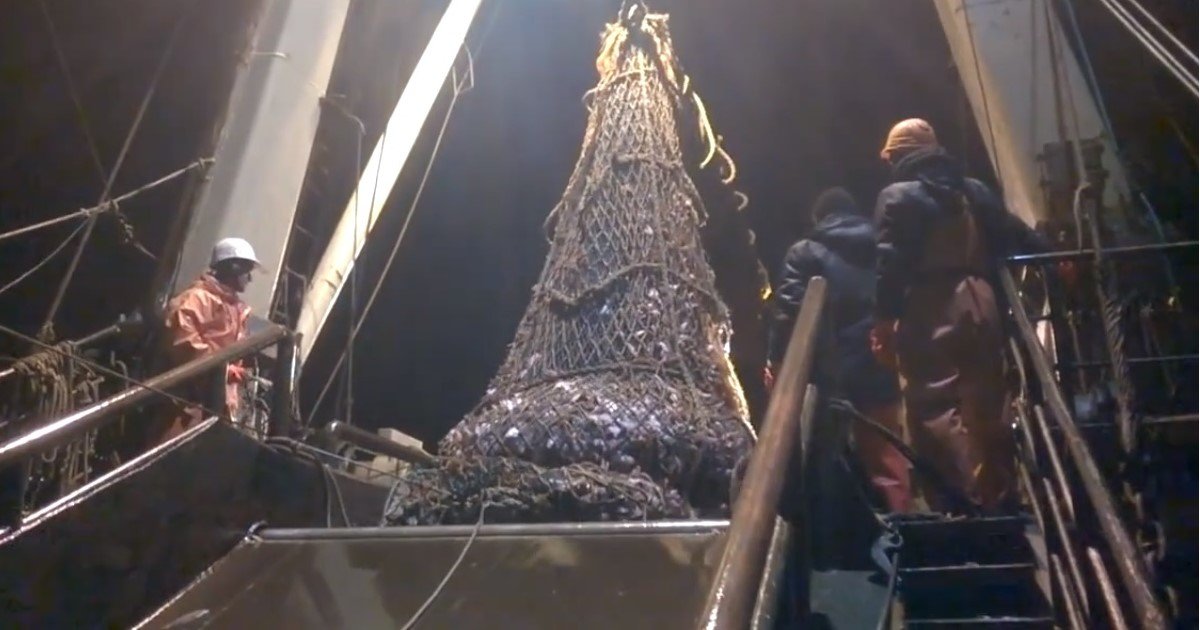 pic copy 6.jpg?resize=412,275 - Fishermen Accidentally Caught A ‘Giant Predator’ Inside Their Net