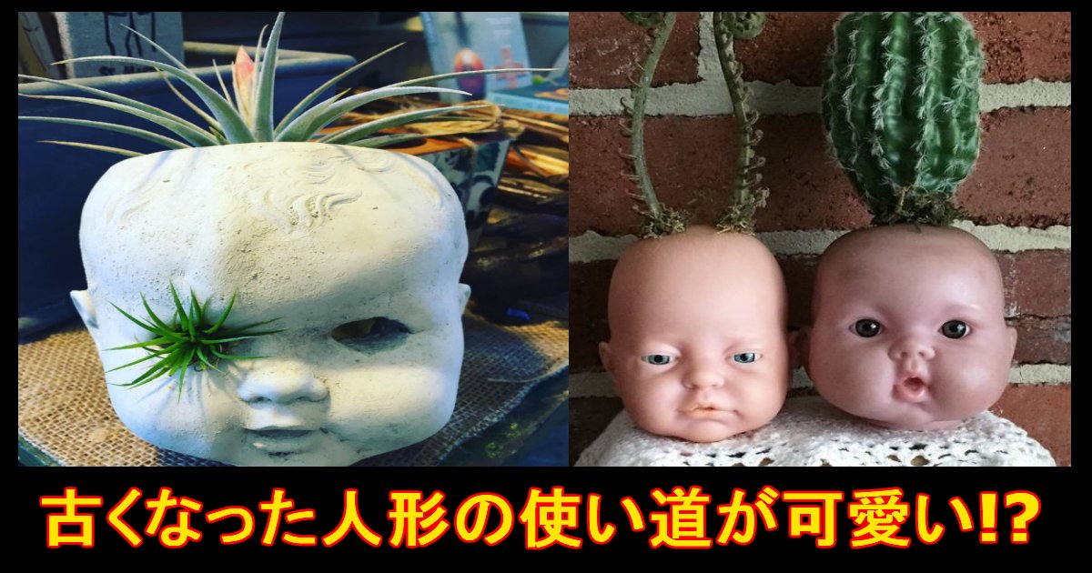 恐怖 エコ 古い人形を使った 植木鉢 が怖い Hachibachi